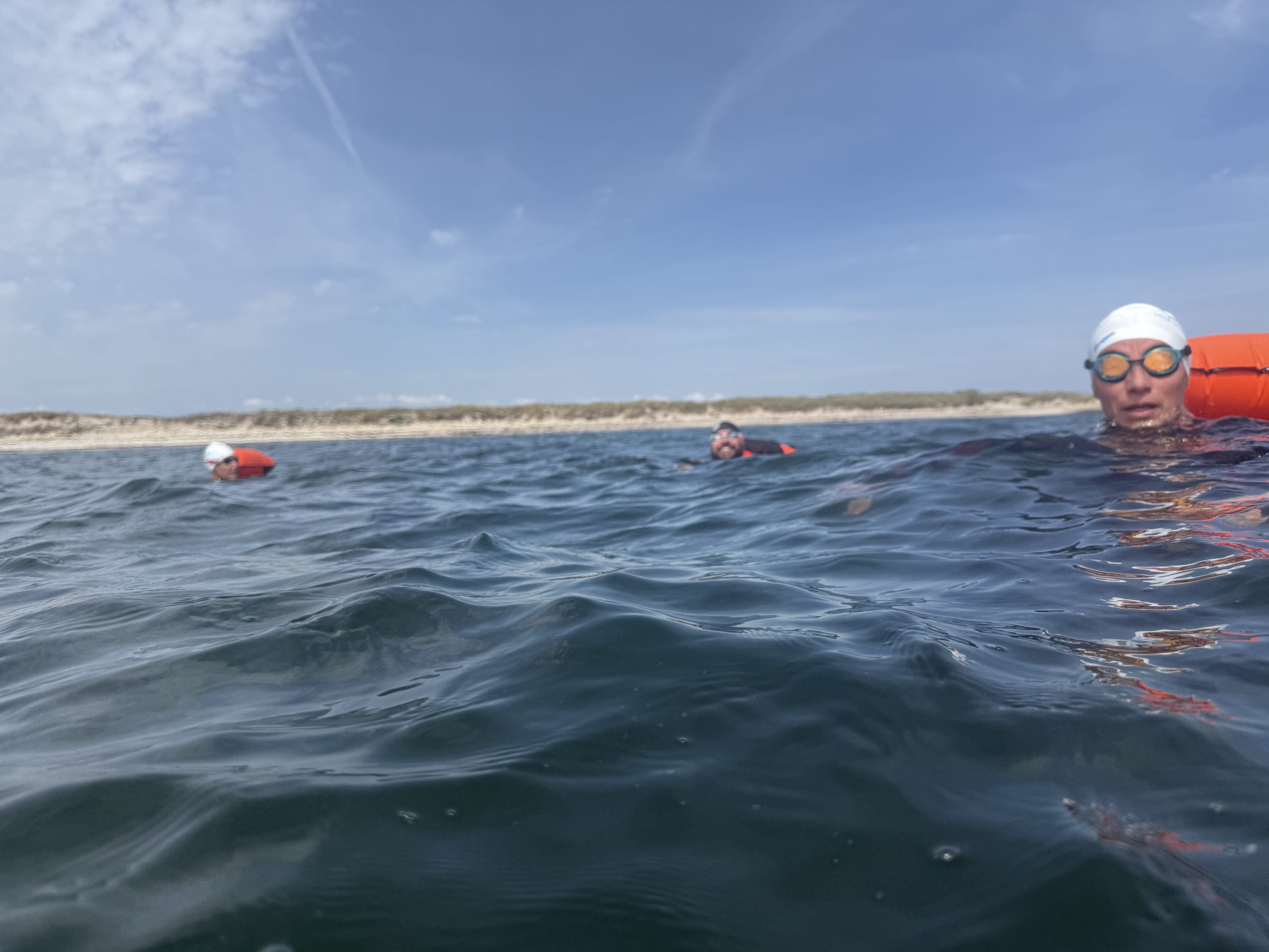 Nage Equilibre, cours de natation et nage en eau libre